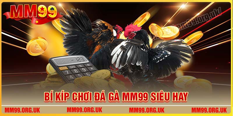 Bí kíp chơi Đá Gà MM99 thắng lớn hấp dẫn