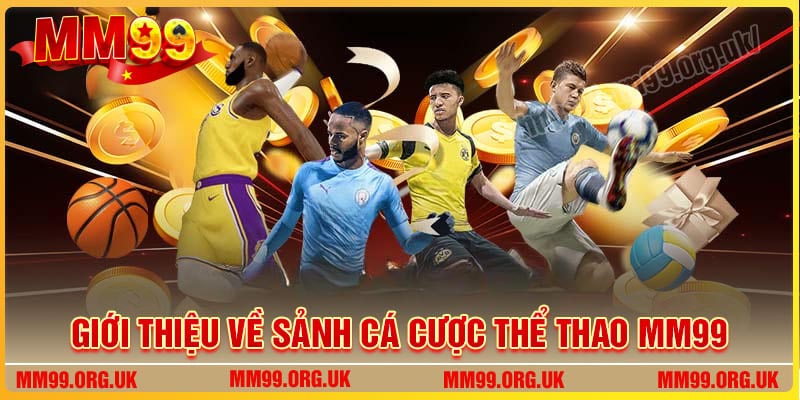 Giới thiệu về sảnh cá cược Thể Thao MM99