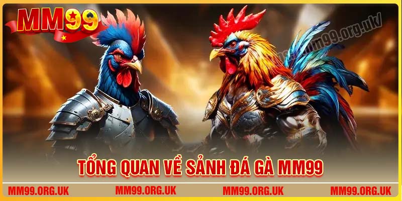 Bí kíp chơi Đá Gà MM99 thắng lớn hấp dẫn